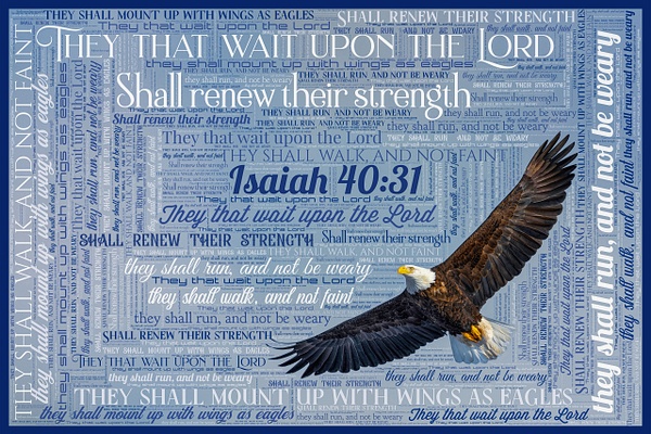 Eagle &amp; Isaiah 40:31 - John Roberts - Clicking With Nature® 