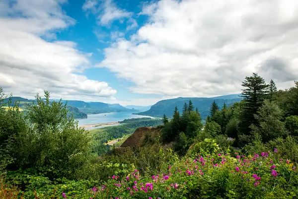 View from the Vista House by Hans Lie