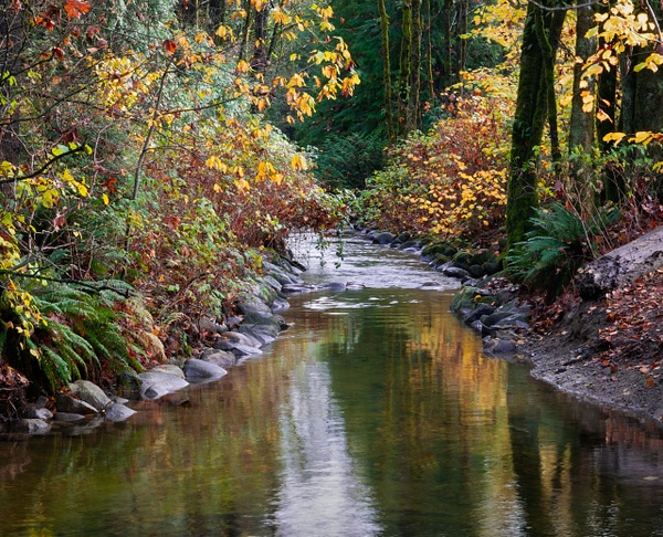 Hyde Creek In Autumn - Streams and Rivers - McKinlayPhoto 