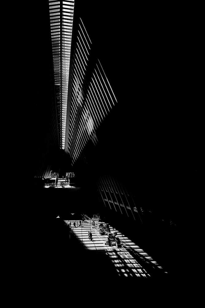 Light and Dark