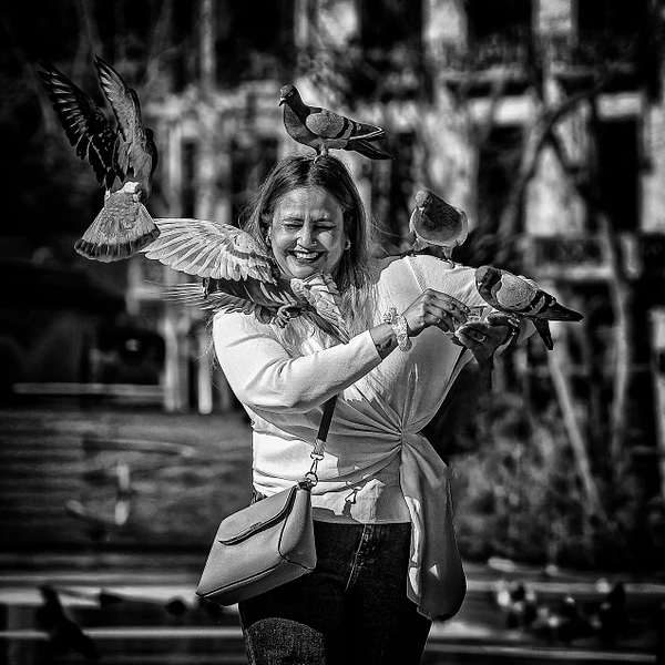 Andrew Newman Photography