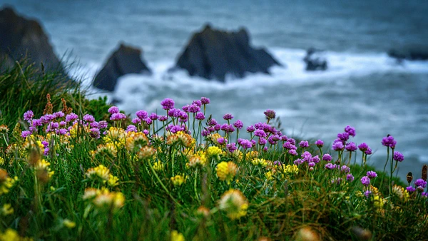 Andrew Newman Photography