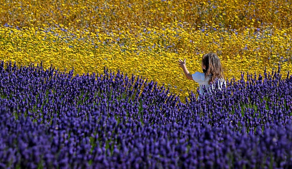 Lost in the Colours - Landscape - Andrew Newman Photography