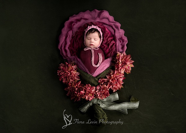 Baby Girl Flower Prop - Newborn - Flora Levin Photography 