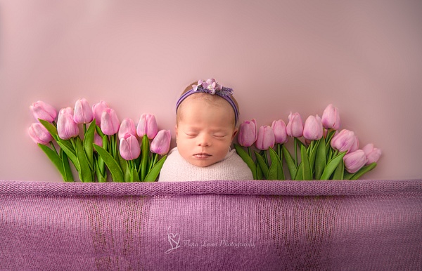Flora_Levin-baby girl with tulips flowers - Newborn &amp; Family Photography in Greater Philadelphia – Flora Levin 