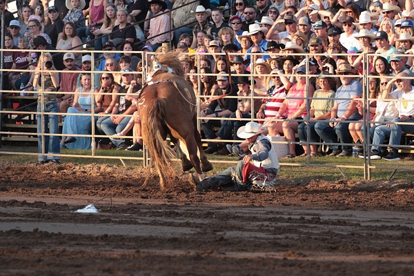 Manawa WI 2026_0341 - Manawa WI_2026 - rodeoflicks.com