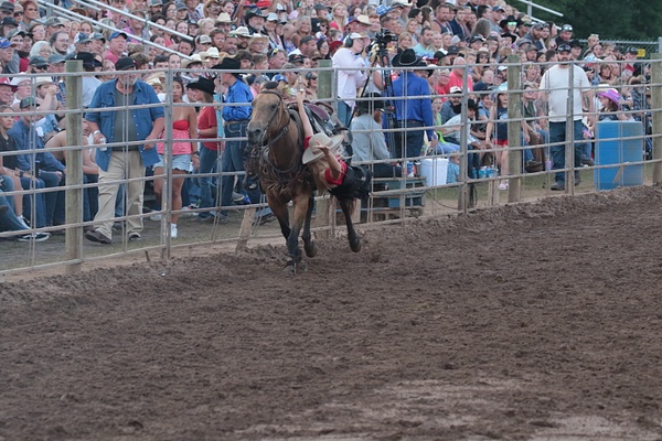 Manawa WI 2026_0370 - Manawa WI_2026 - rodeoflicks.com