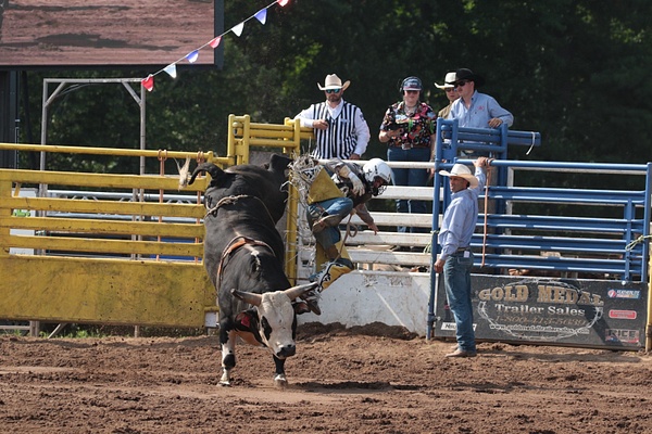 Manawa WI 2026_0858 - Manawa WI_2026 - rodeoflicks.com