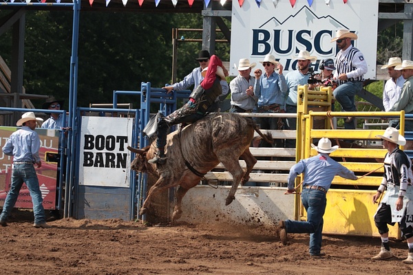 Manawa WI 2026_0859 - Manawa WI_2026 - rodeoflicks.com