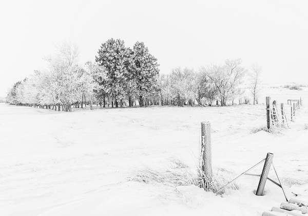 Winter in North Dakota - Mitch Keller Photography