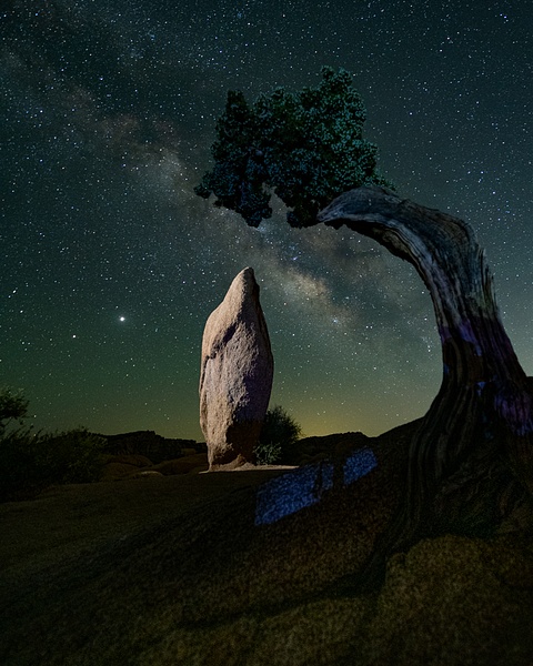Jumbo Rocks Campground_Milky Way - Nocturnal - Stan Pechner