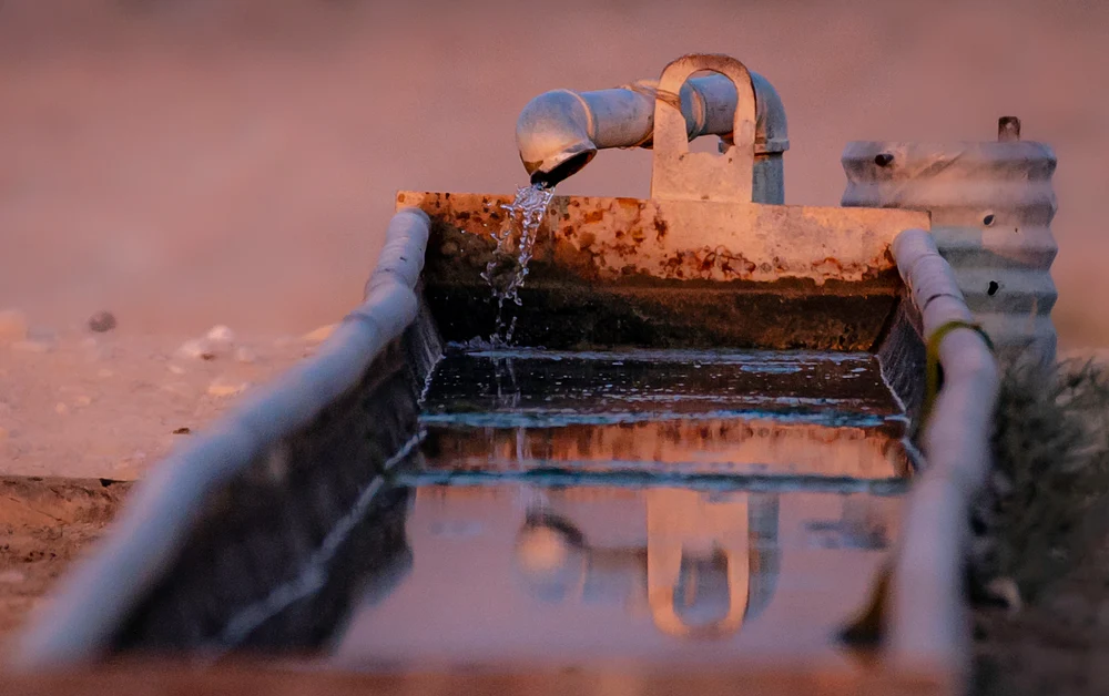Reflective Water Trough at Dusk