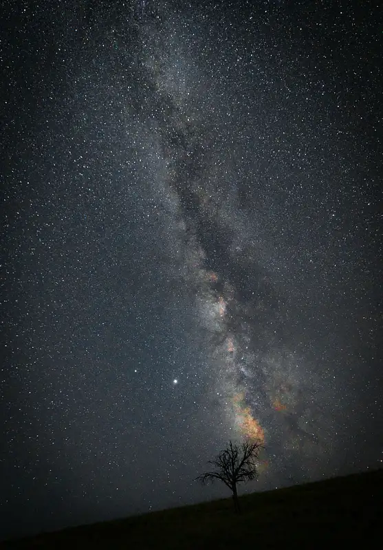 Galactic Majesty Above Solitary Tree