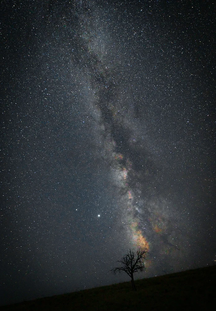 Galactic Majesty Above Solitary Tree