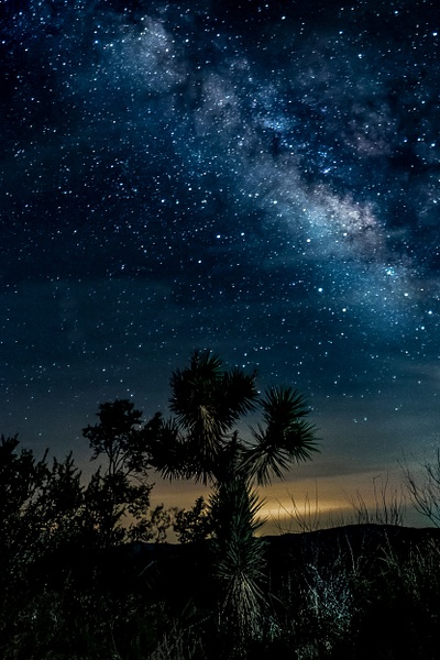 Joshua Tree Milky Way-1 - Landscape Photography - John Dukes Photography 