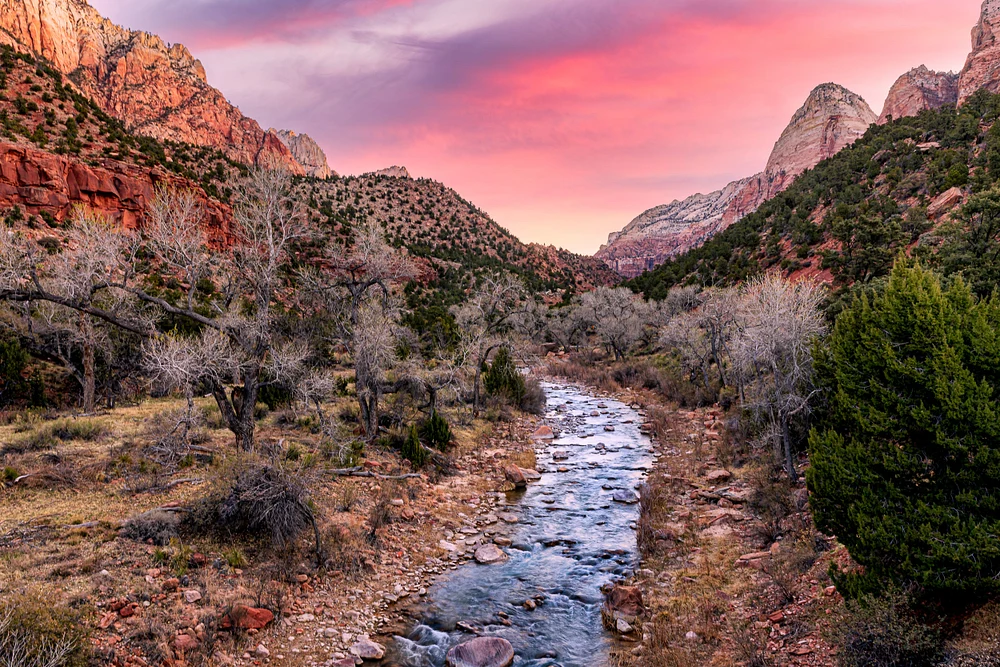 Zion-1