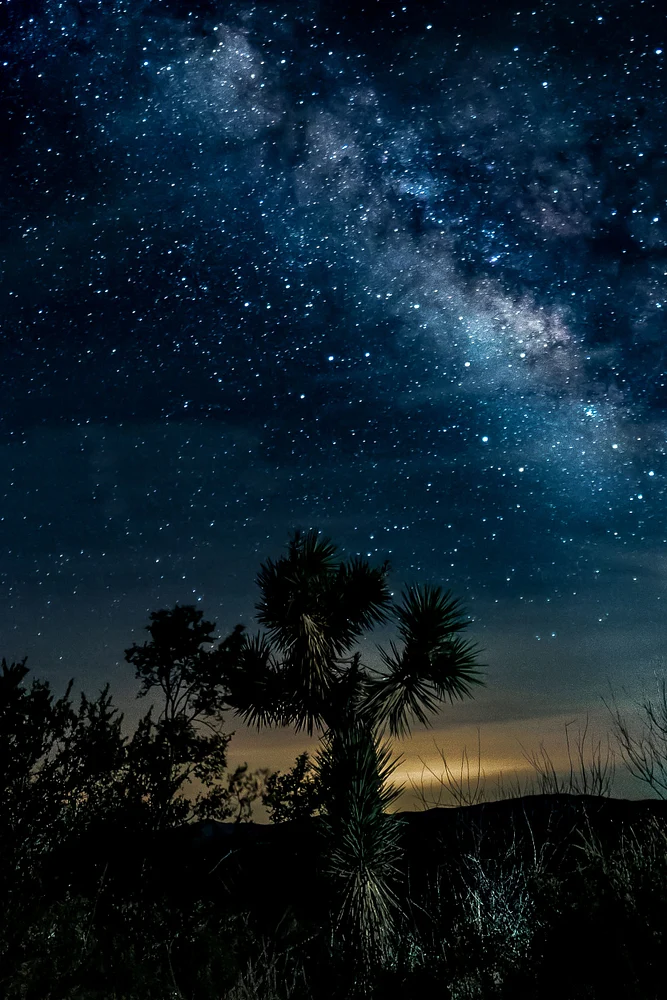 Joshua Tree Milky Way-1