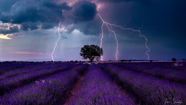 Valensole lightning - Tim Shields Photography 