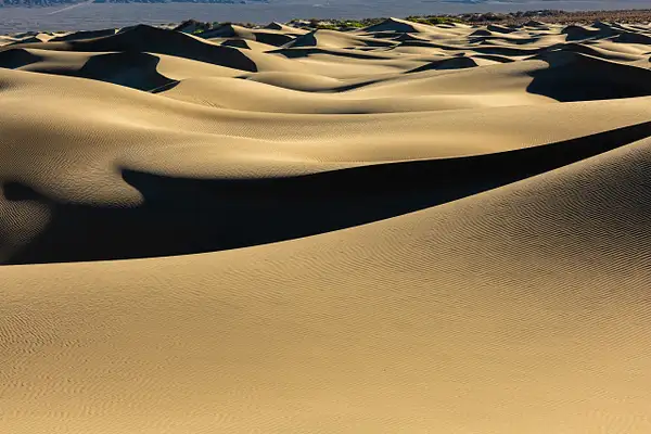 Mesquite Dunes by jaxphotos by jaxphotos