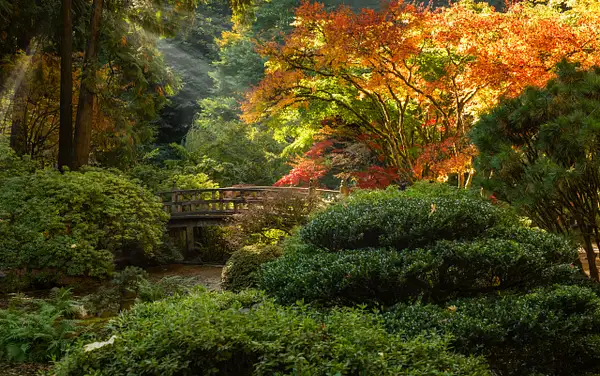 Japanese Gardens-469_Luminar2018-edit-Edit by jaxphotos