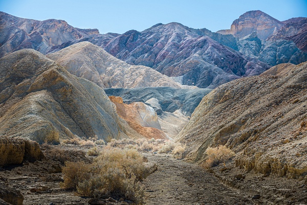 Desert Landscape - Death Valley &amp;amp; Joshua Tree - Jack Kleinman 