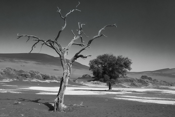 Namibian Desert-105-Edit.jpg - Africa - Jack Kleinman