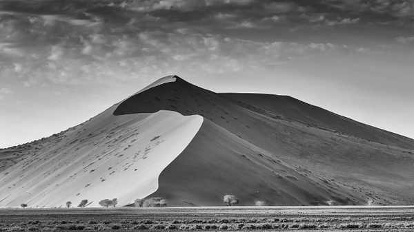 Sand Dune, Namibia - Africa - Jack Kleinman 