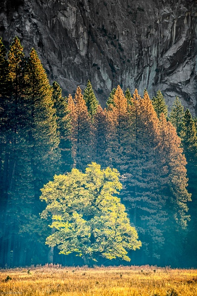 Yosemite-354_Master.jpg - Home - Jack Kleinman Photography