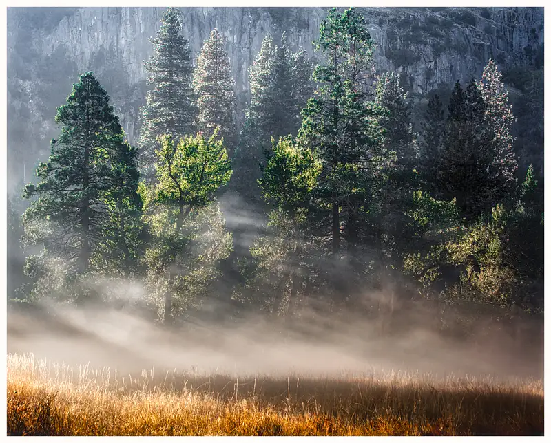 Morning Mist, Cook's Meadow