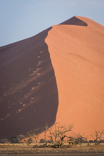 Namibian Desert-89.jpg - Jack Kleinman