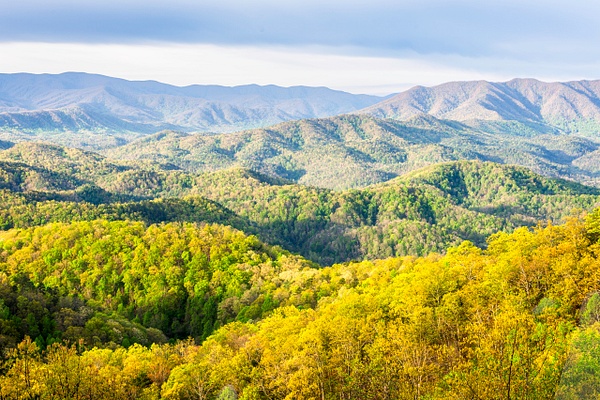 Great Smoky Mountains Vista - Great Smoky Mountains National Park, Tennessee - Jack Kleinman