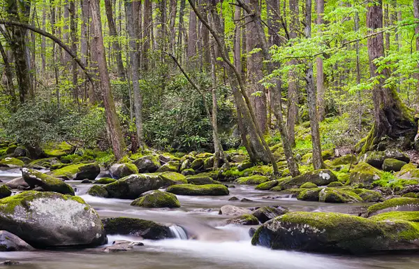 Great Smoky Mountains, Moving Water I by Jack Kleinman