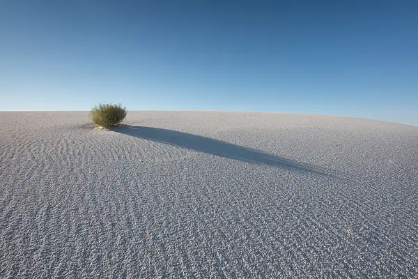 Solitary III, White Sands by Jack Kleinman