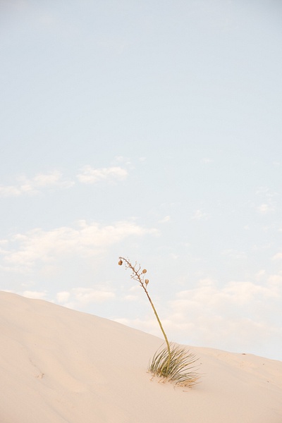 Solitary I, White Sands - New Mexico - Jack Kleinman