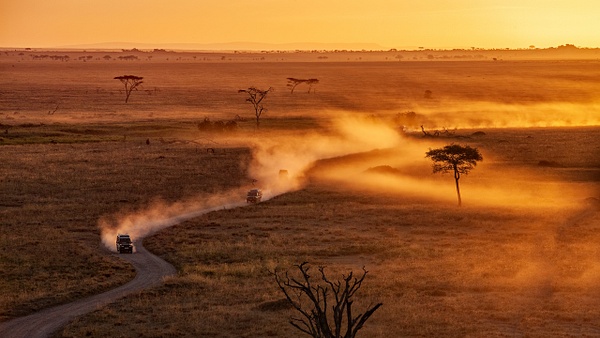 Serengeti N.P. Bilila (24) - TANZANIA - François Scheffen Photography