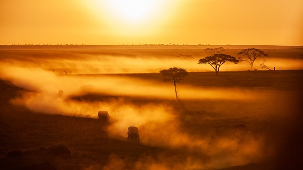 Serengeti N.P. Bilila (25) - TANZANIA - François Scheffen Photography