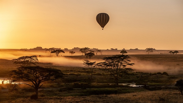 Serengeti N.P. Bilila (26) - TANZANIA - François Scheffen Photography 