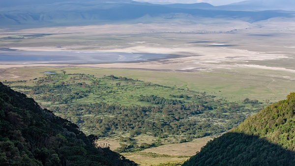 Ngorongoro Crater (25) - TANZANIA - François Scheffen Photography