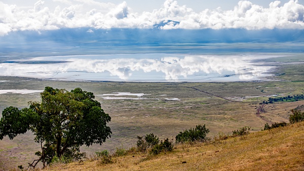 Ngorongoro Crater (26) - TANZANIA - François Scheffen Photography