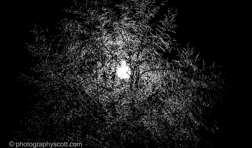 Winter Solstice
