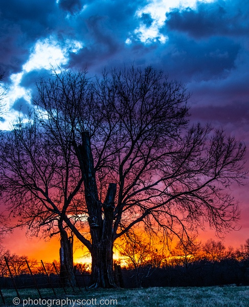 Stormy Tree - Golden Hours - PhotographyScott 