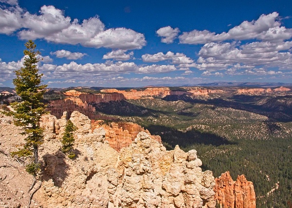 Bryce View 1 - Landscapes - Phil Mason Photography 