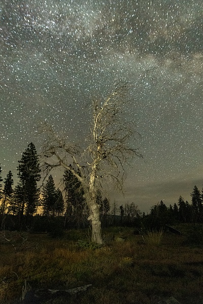 Milky Way 2_DSC4024 - Neil Sims 