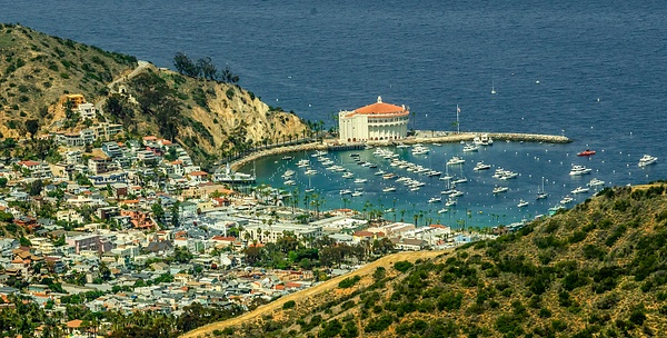 Catalina Island - Landscape - Neil Sims Photography  