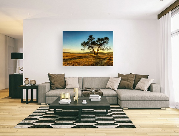 Lone Tree Field CANVAS PREVIEW - Art Formats - Klevens Photography 