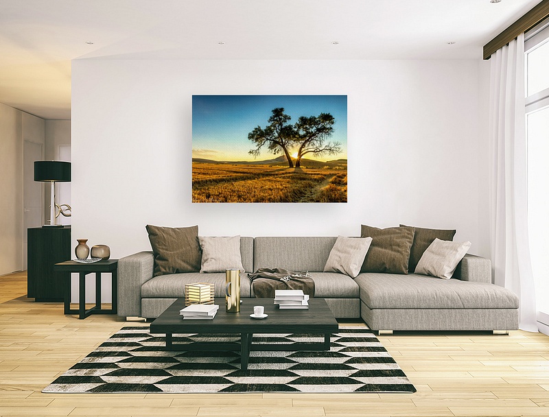 Lone Tree Field CANVAS PREVIEW