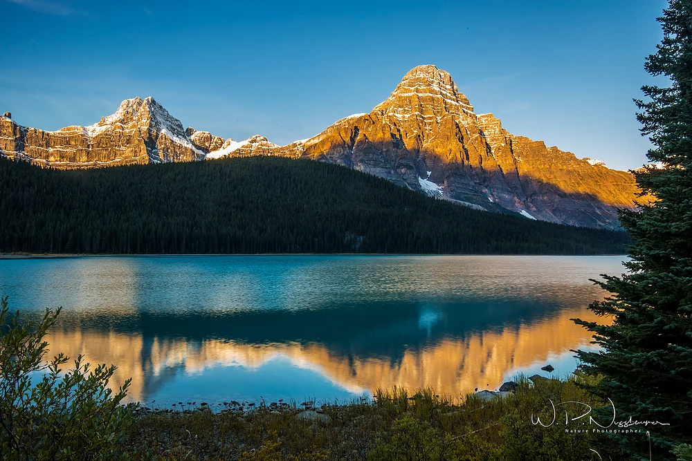 Waterfowl Lake_073A0723