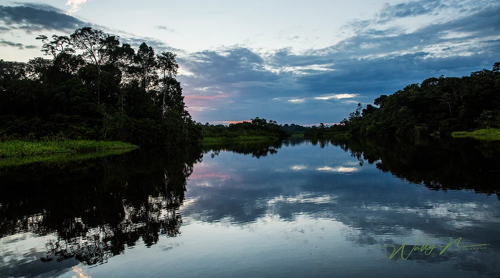 Sani Lodge, Sunset_ Amazon, Ecuador_MG_9952