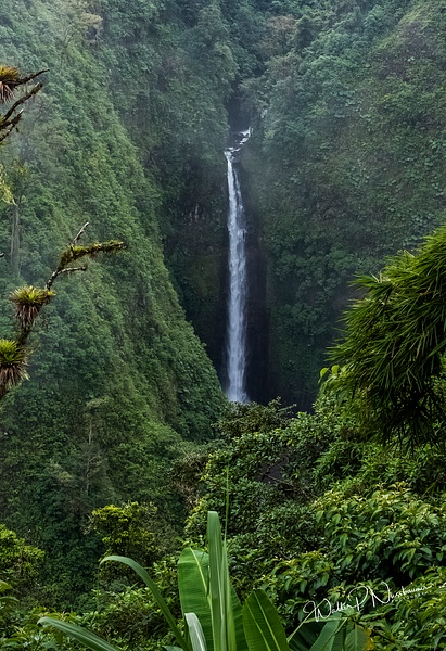 Waterfall_Costa Rica_DSC2602(B) - Walter Nussbaumer