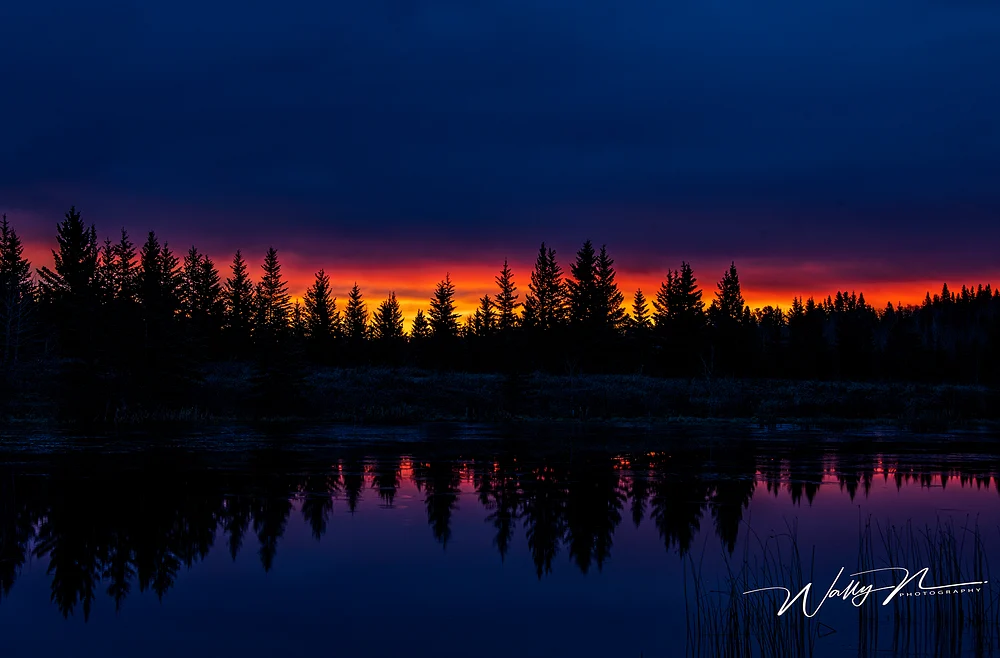 Sunrise Sibbald Trail_DSC7154
